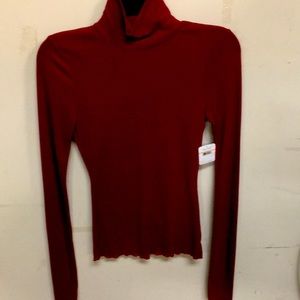 Free People Maroon Long Sleeve Turtleneck